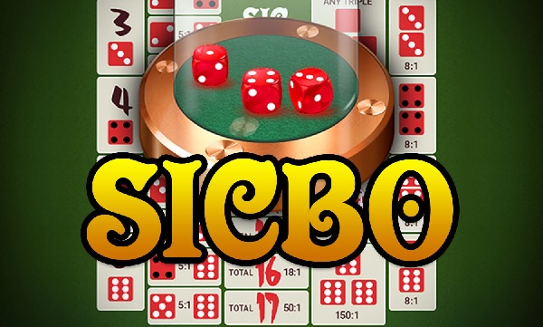 scibo bk8